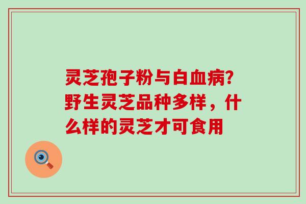 灵芝孢子粉与白血病？野生灵芝品种多样，什么样的灵芝才可食用