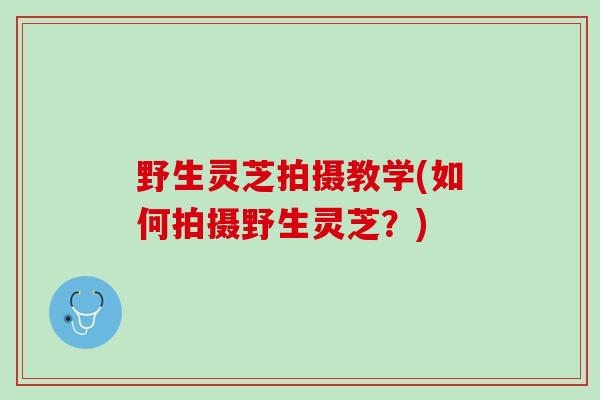 野生灵芝拍摄教学(如何拍摄野生灵芝?) 野生灵芝拍摄教学(如何拍摄野生灵芝?)