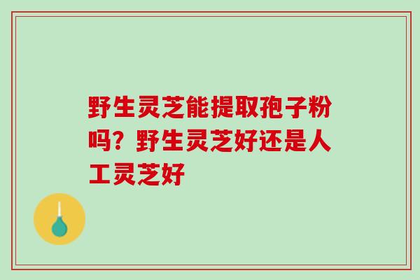 野生灵芝能提取孢子粉吗？野生灵芝好还是人工灵芝好