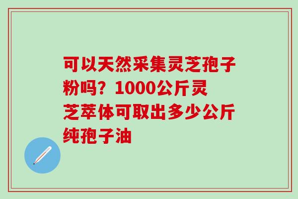 可以天然采集灵芝孢子粉吗？1000公斤灵芝萃体可取出多少公斤纯孢子油