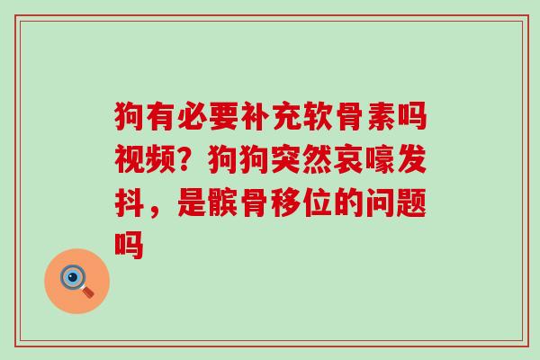 狗有必要补充软骨素吗视频？狗狗突然哀嚎发抖，是髌骨移位的问题吗
