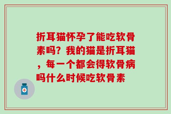 折耳猫怀孕了能吃软骨素吗?我的猫是折耳猫,每一个都会得软骨吗什么时候吃软骨素 折耳猫怀孕了能吃软骨素吗?我的猫是折耳猫,每一个都会得软骨吗什么时候吃软骨素