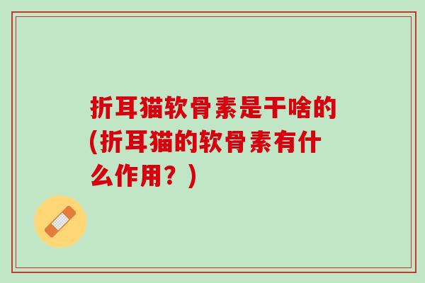 折耳猫软骨素是干啥的(折耳猫的软骨素有什么作用？)