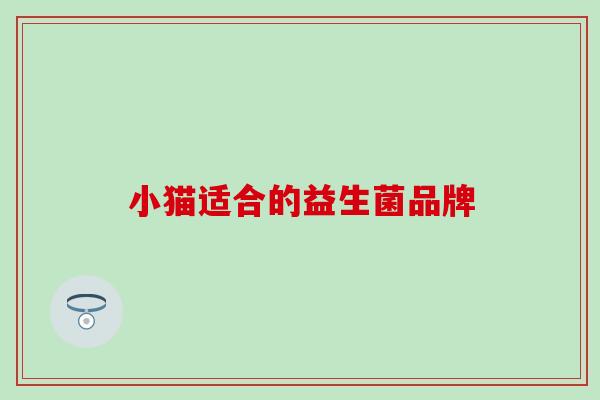 小猫适合的益生菌品牌