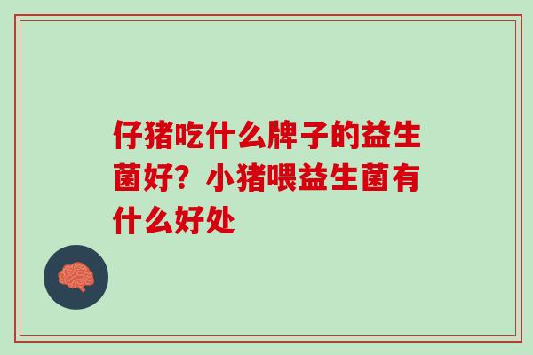 仔猪吃什么牌子的益生菌好？小猪喂益生菌有什么好处