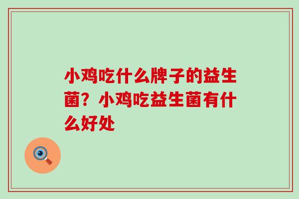 小鸡吃什么牌子的益生菌？小鸡吃益生菌有什么好处