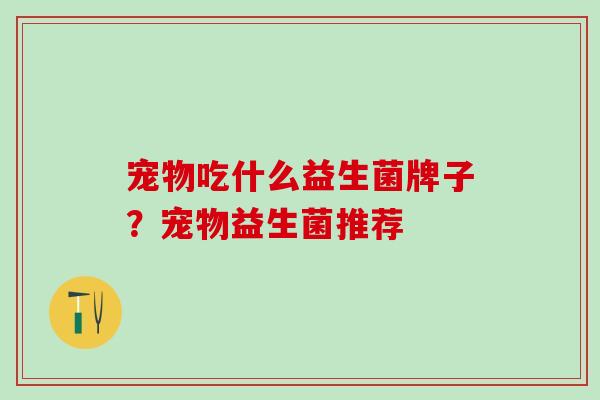 宠物吃什么益生菌牌子？宠物益生菌推荐