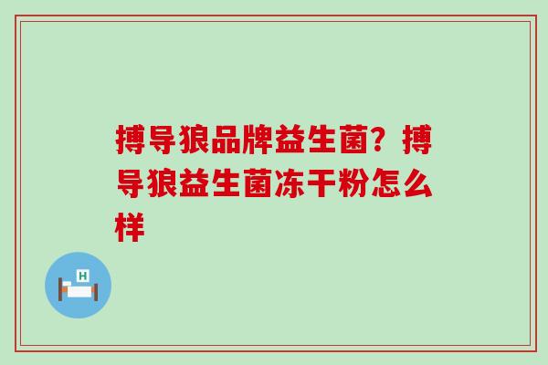 搏导狼品牌益生菌？搏导狼益生菌冻干粉怎么样
