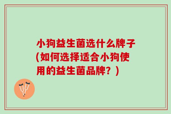 小狗益生菌选什么牌子(如何选择适合小狗使用的益生菌品牌？)