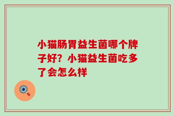 小猫肠胃益生菌哪个牌子好？小猫益生菌吃多了会怎么样