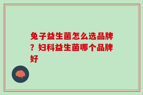 兔子益生菌怎么选品牌？妇科益生菌哪个品牌好