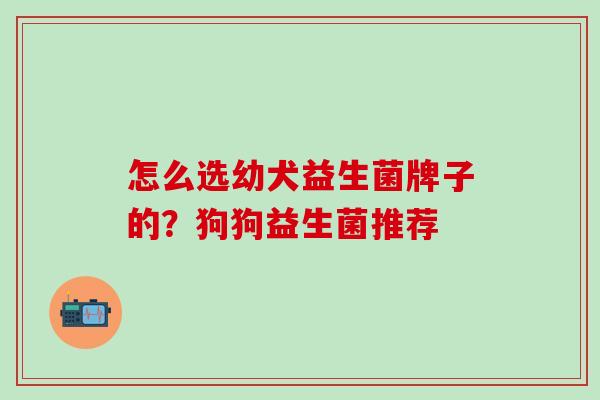 怎么选幼犬益生菌牌子的？狗狗益生菌推荐