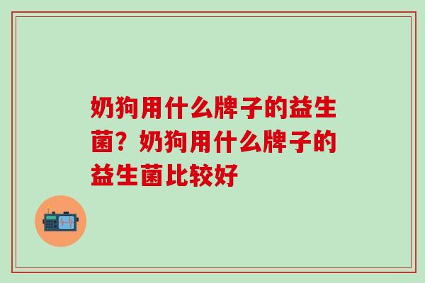 奶狗用什么牌子的益生菌？奶狗用什么牌子的益生菌比较好