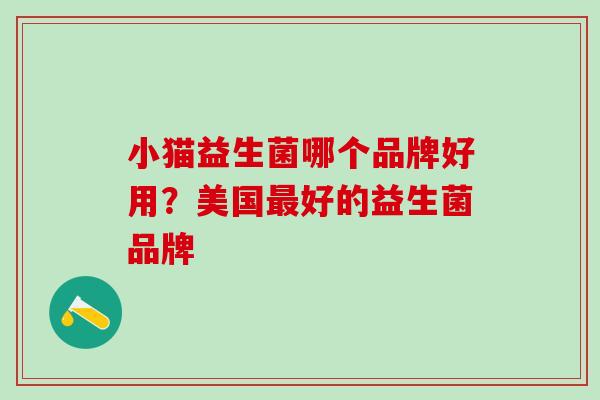 小猫益生菌哪个品牌好用？美国最好的益生菌品牌