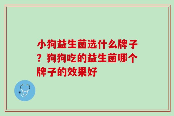 小狗益生菌选什么牌子？狗狗吃的益生菌哪个牌子的效果好