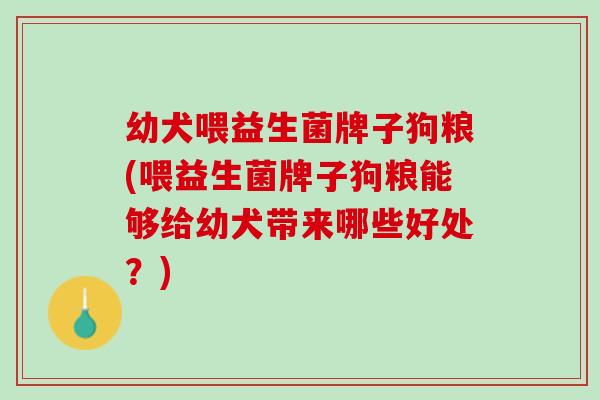 幼犬喂益生菌牌子狗粮(喂益生菌牌子狗粮能够给幼犬带来哪些好处？)