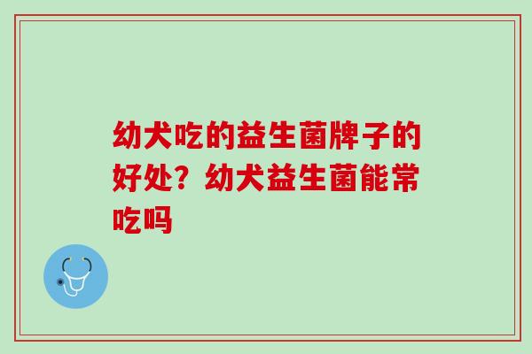 幼犬吃的益生菌牌子的好处？幼犬益生菌能常吃吗