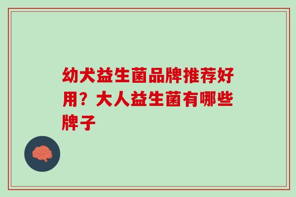 幼犬益生菌品牌推荐好用？大人益生菌有哪些牌子