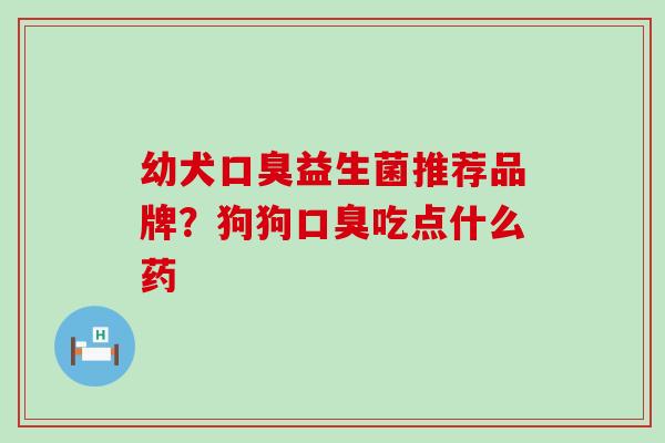 幼犬口臭益生菌推荐品牌？狗狗口臭吃点什么药
