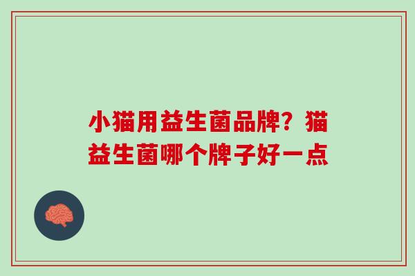 小猫用益生菌品牌？猫益生菌哪个牌子好一点