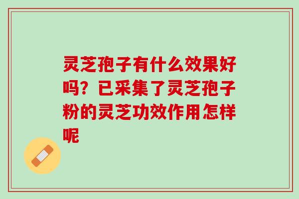 灵芝孢子有什么效果好吗？已采集了灵芝孢子粉的灵芝功效作用怎样呢