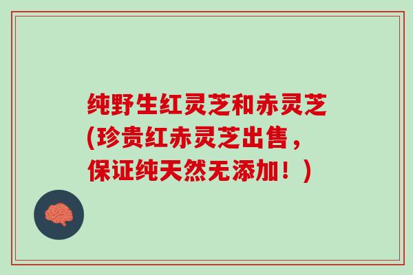 纯野生红灵芝和赤灵芝(珍贵红赤灵芝出售，保证纯天然无添加！)