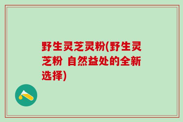 野生灵芝灵粉(野生灵芝粉 自然益处的全新选择)