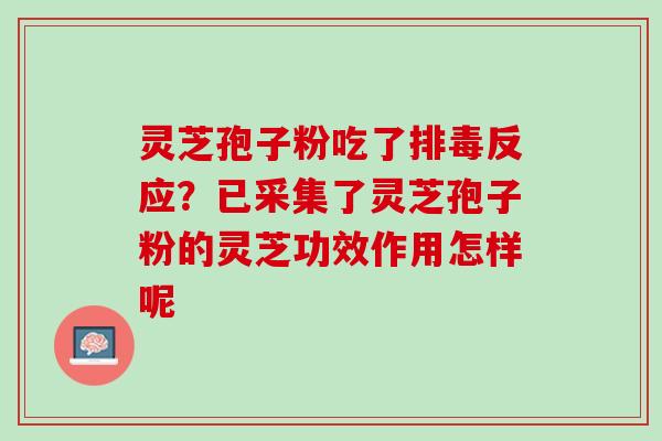 灵芝孢子粉吃了反应?已采集了灵芝孢子粉的灵芝功效作用怎样呢 灵芝孢子粉吃了反应?已采集了灵芝孢子粉的灵芝功效作用怎样呢