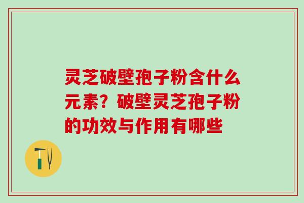 灵芝破壁孢子粉含什么元素？破壁灵芝孢子粉的功效与作用有哪些
