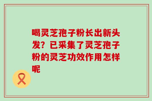 喝灵芝孢子粉长出新头发？已采集了灵芝孢子粉的灵芝功效作用怎样呢