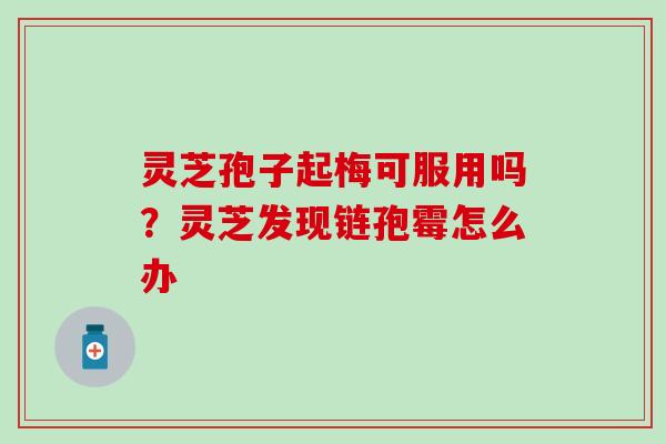 灵芝孢子起梅可服用吗？灵芝发现链孢霉怎么办