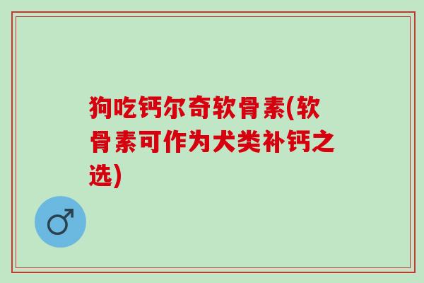 狗吃钙尔奇软骨素(软骨素可作为犬类补钙之选)