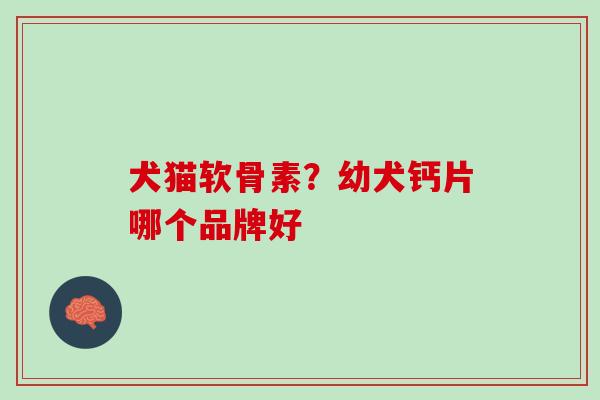犬猫软骨素？幼犬钙片哪个品牌好