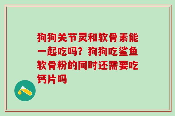 狗狗关节灵和软骨素能一起吃吗？狗狗吃鲨鱼软骨粉的同时还需要吃钙片吗