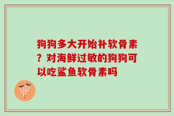 狗狗多大开始补软骨素？对海鲜过敏的狗狗可以吃鲨鱼软骨素吗