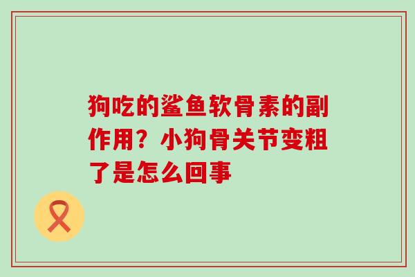狗吃的鲨鱼软骨素的副作用？小狗骨关节变粗了是怎么回事