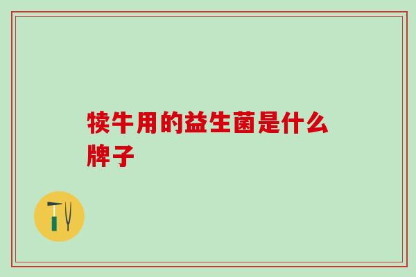 犊牛用的益生菌是什么牌子