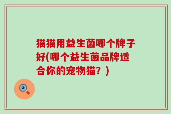 猫猫用益生菌哪个牌子好(哪个益生菌品牌适合你的宠物猫？)
