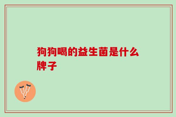 狗狗喝的益生菌是什么牌子