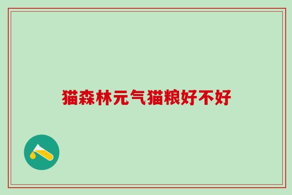 猫森林元气猫粮好不好