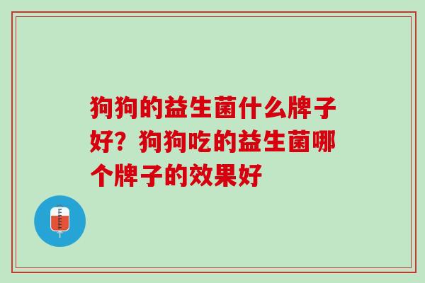 狗狗的益生菌什么牌子好？狗狗吃的益生菌哪个牌子的效果好