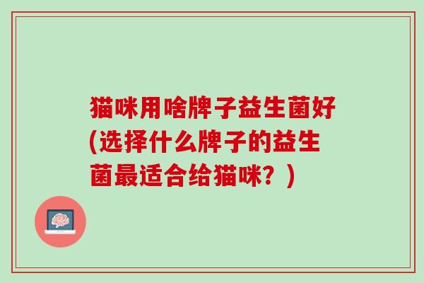猫咪用啥牌子益生菌好(选择什么牌子的益生菌最适合给猫咪？)
