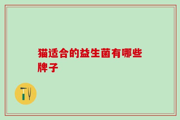 猫适合的益生菌有哪些牌子