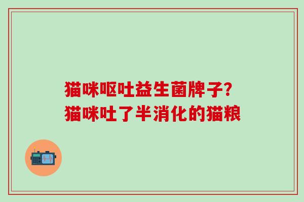 猫咪呕吐益生菌牌子？猫咪吐了半消化的猫粮