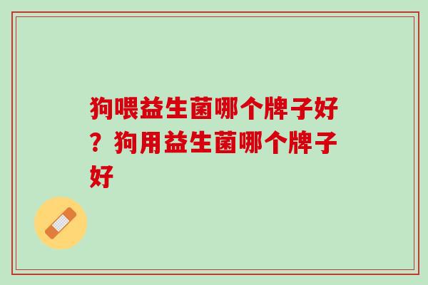 狗喂益生菌哪个牌子好？狗用益生菌哪个牌子好