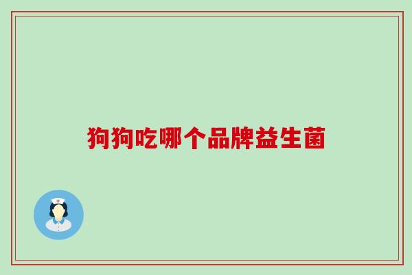 狗狗吃哪个品牌益生菌
