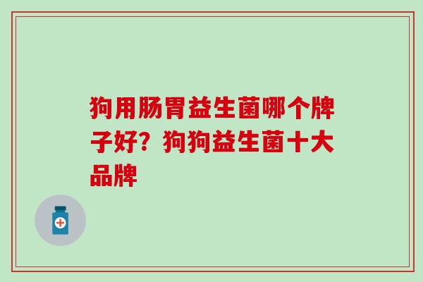 狗用肠胃益生菌哪个牌子好？狗狗益生菌十大品牌