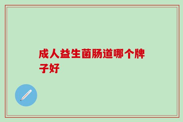 成人益生菌肠道哪个牌子好