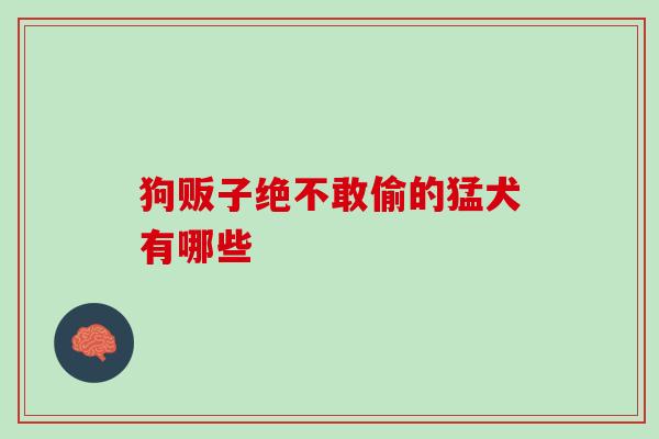 狗贩子绝不敢偷的猛犬有哪些
