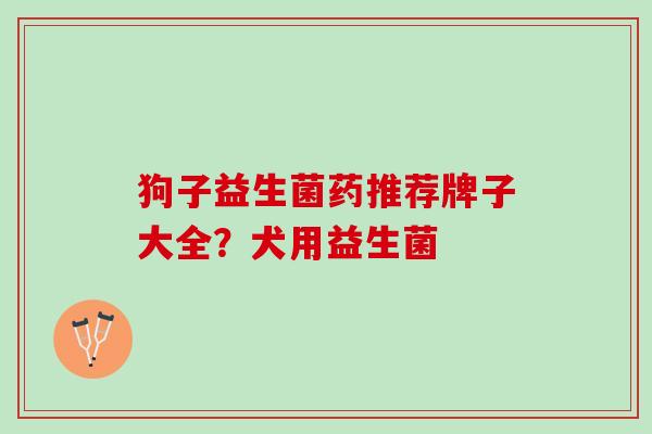 狗子益生菌药推荐牌子大全？犬用益生菌